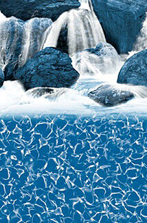 Toiles accrochées en vinyle